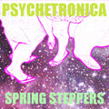 Psychetronica Tokyo - Spring Steppers - Artwork by DJ URI