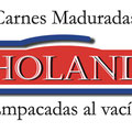 rediseño de Logo Holand
