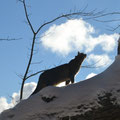 The first significant snowstorm of the winter was December 28.