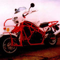 Suzuki TL1000