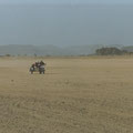 Südliches Algerien