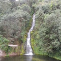 Wasserfall in einem Park in Napier