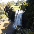 Whangarei Falls