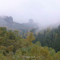 Herbststimmung - in der Ferne der Falkenstein