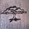 Baum