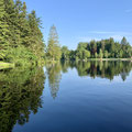 Waldsee