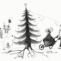 2021 - Thema Weihnachtsbaum   Bild ©Kati Menzi