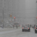 Winter in Kanada: Dichtes Schneetreiben in Toronto.