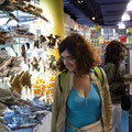 La boutique souvenir de l'aquarium : il y a des tas de peluches de requins, raies et autres, j'adore
