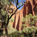 Uluru de près
