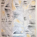Natur komplex 1 Bleistift auf Papier 130x100