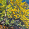 Baum im Sonnenlicht, Acryl auf Leinwand, 75 x 115 cm 