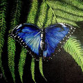 Blauer Morphofalter auf Farn, Acryl auf Leinwand, 30 x 40 cm