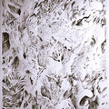Natur komplex 2 Bleistift auf Papier 130x100