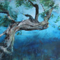 Olivenbaum - 50 cm x 100 cm