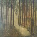 Wald, Acryl auf Leinwand, 70 x 70 cm, 2023, 490,- EUR
