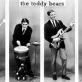 The Teddy Bears (1963) vlnr: Jan Korebrits, Hans Canters, Stefan Swaczyna, Cees van Riel