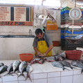 Auf dem Fischmarkt.