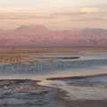 Laguna Chaxa in der Atacama-Wüste