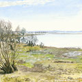 Lac du Der. vol de grues. pastel