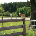 Kathrin auf dem Reitplatz