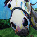 Horse Face, acrylic on panel, 11"x14", 2010 NFS
