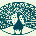Pfau