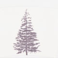 「12月の樹」