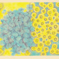 「向日葵浅葱〜himawari-asagi〜」　（6月の個展に合わせて梅雨のあじさいともうすぐ迎える夏のひまわりをテーマにオリジナルタンブラー用に描いた一枚です。）