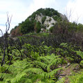 Le mont Castellu, 1109m