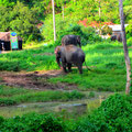 Ko Chang 