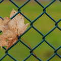 Altes Blatt - Sportpark in Billerbeck