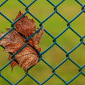 Altes Blatt - Sportpark in Billerbeck