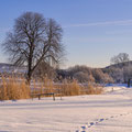 Winter an den Fischteichen am Neustädter Anbau.