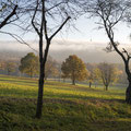 Herbst am Unger, Blick von der Kirschallee.