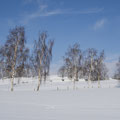 Winterlandschaft bei Krumhermsdorf.