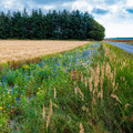 Foto: Bernd Kupper