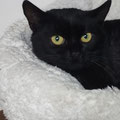 Minou - 21.02.2026