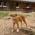 Holly - 12.04.2026