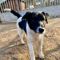 Boby - 27.02.2026