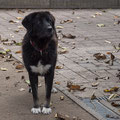 Alessia - 07.04.2026