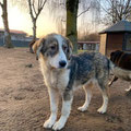 Simon - 13.02.2026