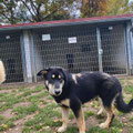Alfi - 25.02.2026