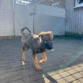 Gibson - 23.03.2026