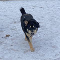 Alfi - 12.04.2026