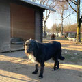 Ligia - 21.02.2026