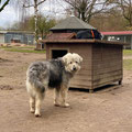 Gandalf - 16.03.2026