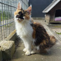 Polly - 27.04.2026