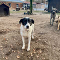Carla - 10.01.2026