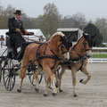 NPZ Drivers Challenge Bern 2012